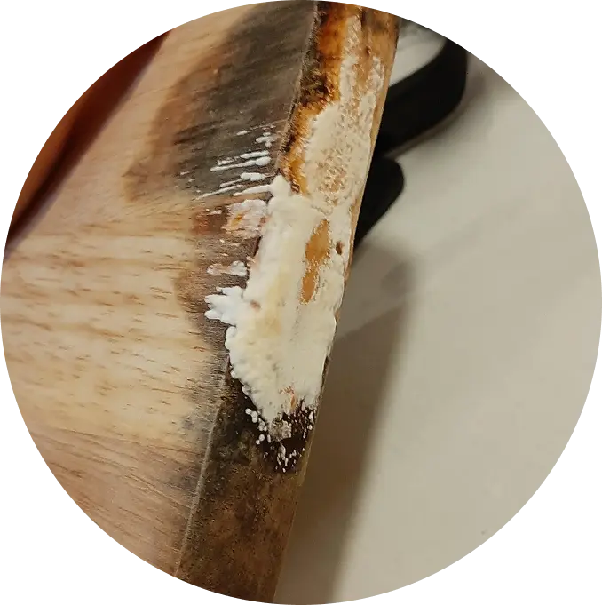 Skärbräda i trä och bambu